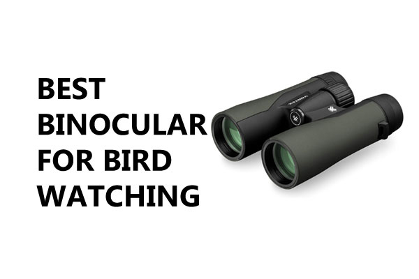 Best Binoculars for Bird Watching