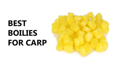 Best Boilies for Carp 2024
