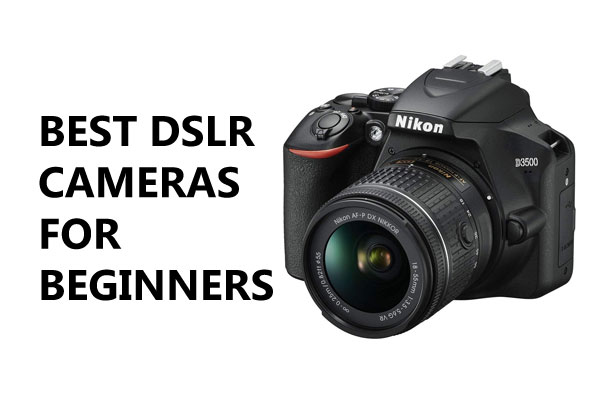 Best DSLR Cameras for Beginners