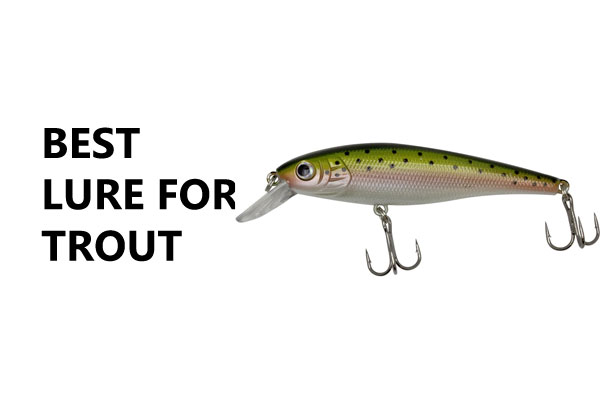 Best Lure for Trout 2024