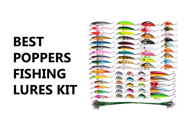 Best Poppers 2024 Fishing Lures Kit