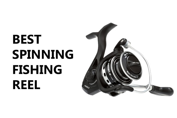 Best Spinning Fishing Reel for Bass 2024
