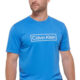 Calvin Klein T Shirt on Sale on Amazon