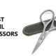 The Best Professional Nail Scissors
