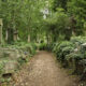 Best Cemeteries in London