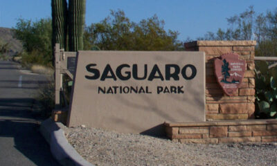 Things to do in Saguaro National Park