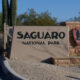 Things to do in Saguaro National Park