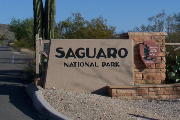 Things to do in Saguaro National Park