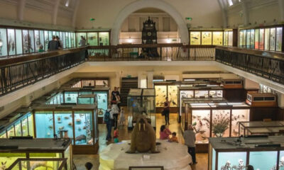 Unusual Museums in London