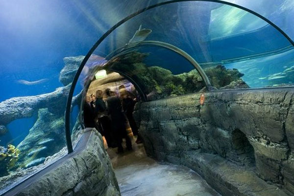 Visit Sea Life Aquarium in London