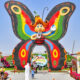 Butterfly Park in Dubai - Butterfly Garden