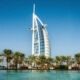 Are There Sharks in Dubai & other UAE Resorts?