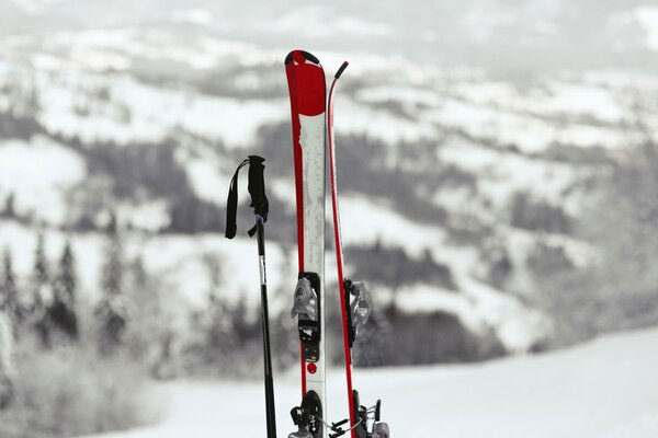 How to Choose the Right Cross Country Skis