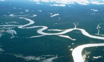 Which River is the Longest in the World?