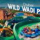 Wild Wadi Waterpark in Dubai